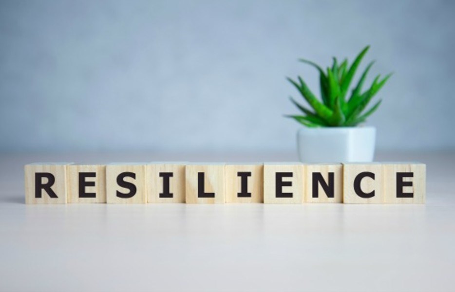 תמונה עם כיתוב resilience | המסלול האקדמי המכללה למינהל